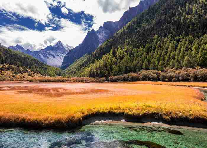 成都景区直通车官网预约，手把手教你避*别再傻傻排队了-第2张图片-成都租车公司